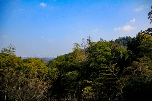 Gökyüzünün Altındaki Yeşil Ağaçlarla Dağların Göz Hizasında Seyahat Sahnesi Çarpıcı — Stok fotoğraf