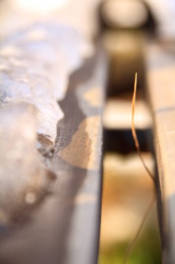 Sandalyedeki buzun ve sandalyenin aralığındaki küçük bitkinin yakın çekim görüntüsü. Kış mevsimi ve soğuk hava. Seyahat ve doğa sahnesi.