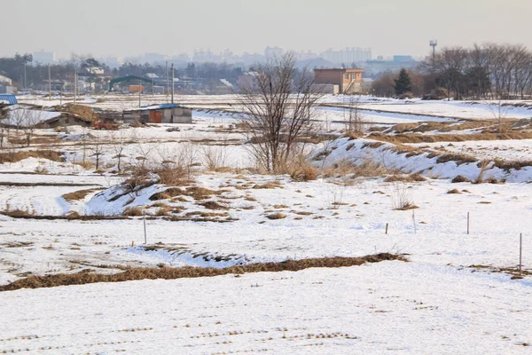 stock image The view of the sunny winter day with snowy field at sunset.  Nature scene and travel scene.