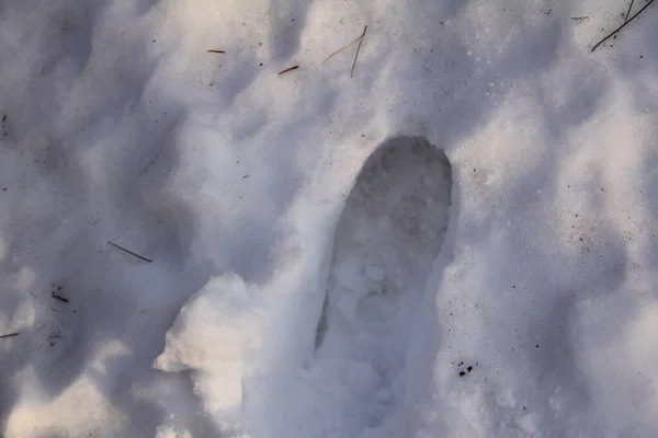 Fokus Des Schnees Mit Fußabdruck Bei Sonnenuntergang Glänzend Weißer Schnee — Stockfoto