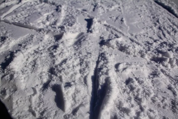 Focus Van Sneeuw Vloer Weerspiegeling Van Sneeuw Glanzende Witte Sneeuw — Stockfoto