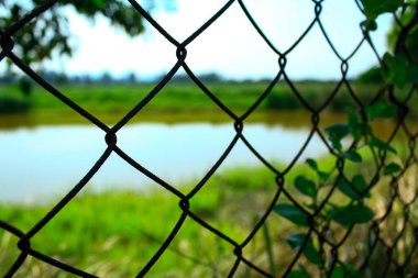 Zincirleme tel örgülerden bakıyorum, göl manzarası ve kırsal alandaki yeşil alanlar, ve çitlerdeki yeşil yapraklar. Doğa sahnesi ve kırsal alan.