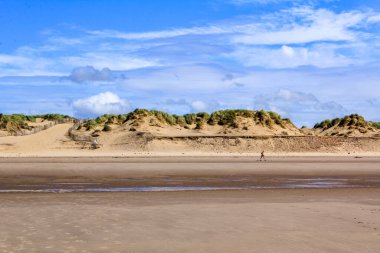 Güneşli bir günde Liverpool, İngiltere 'deki Formby Beach (Victoria Road Beach) veya Formby Dunes manzarası. Kuzey Batı İngiltere 'nin Merseyside ilçesinde şehir. Meşhur kum tepeleri de dahil. Doğa, seyahat sahnesi