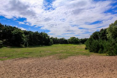 Güneşli bir günde İngiltere 'nin Liverpool kentindeki Formby Sahili (Victoria Road Beach) veya Formby Dunes' a girmeden önceki manzara ve yol sahnesi. Kuzey Batı İngiltere 'nin Merseyside ilçesinde şehir. Doğa sahnesi