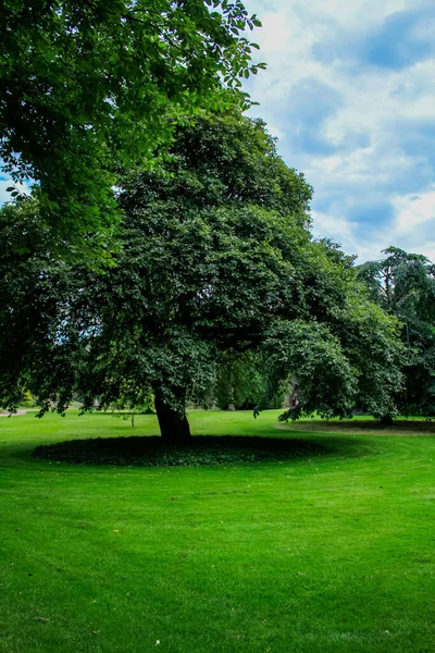 Вид Сад Замку Стерлінг Зеленими Деревами Місто Стерлінг Шотландія Англія — стокове фото