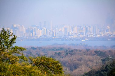 Gökyüzünün altındaki yeşil ağaçlarla dağların göz hizasında. Seyahat sahnesi ve çarpıcı doğal sahne. Hangzhou şehri Çin