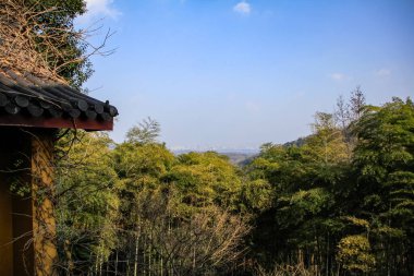 Gökyüzünün altındaki yeşil ağaçlarla dağların göz hizasında. Seyahat sahnesi ve çarpıcı doğal sahne. Hangzhou şehri Çin