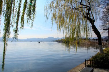 Ön planda sakin bir deniz manzarası ve arka planda dağlar olan bir ağaç. Seyahat, geçmiş ve blog gibi şeyler için. Kavramları. Batı Gölü. Hangzhou şehrinin popüler parkı.