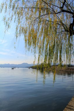 Ön planda sakin bir deniz manzarası ve arka planda dağlar olan bir ağaç. Seyahat, geçmiş ve blog gibi şeyler için. Kavramları. Batı Gölü. Hangzhou şehrinin popüler parkı.