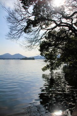 Ön planda sakin bir deniz manzarası ve arka planda dağlar olan bir ağaç. Seyahat, geçmiş ve blog gibi şeyler için. Kavramları. Batı Gölü. Hangzhou şehrinin popüler parkı.