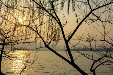 Ön planda sakin bir deniz manzarası ve arka planda dağlar olan bir ağaç. Seyahat, geçmiş ve blog gibi şeyler için. Kavramları. Batı Gölü. Hangzhou şehrinin popüler parkı.