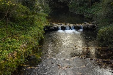 Batı Gölü yakınlarındaki kırsal kesimde ağaçlarla birlikte ormanda küçük bir nehir. Çin 'in Hangzhou şehrinin popüler parkı. Seyahat ve doğa sahnesi.