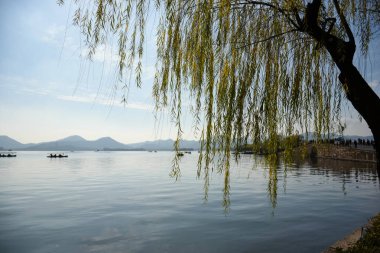 Ön planda sakin bir deniz manzarası ve arka planda dağlar olan bir ağaç. Seyahat, geçmiş ve blog gibi şeyler için. Kavramları. Batı Gölü. Hangzhou şehrinin popüler parkı.