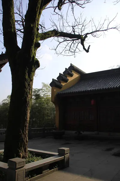 Vue Intérieure Jardin Temple Yongfu Hangzhou Chine Voyage Vue Sur — Photo