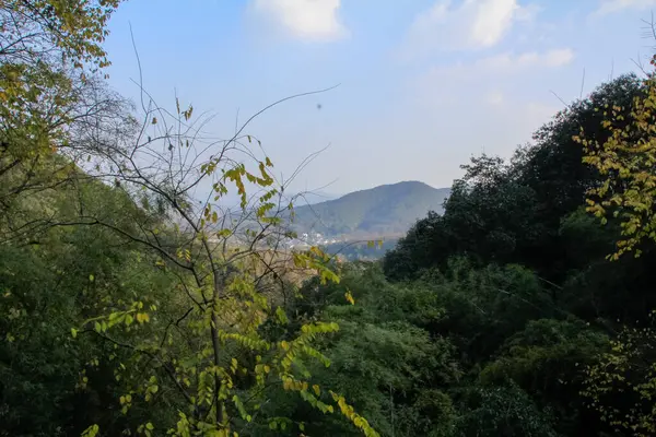 Blick Auf Die Berge Auf Augenhöhe Mit Grünen Bäumen Unter — Stockfoto