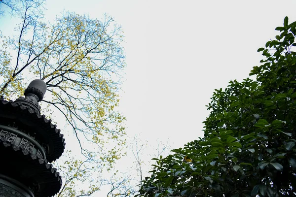 Nízký Úhel Pohledu Stromy Čínské Stylu Dekorativní Sloup Oblohou Zahradě — Stock fotografie