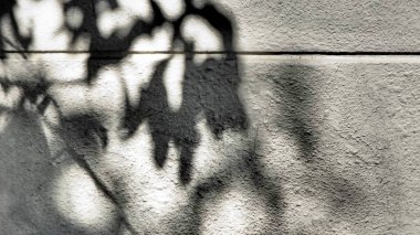 Yaprakların gölgesi güneş ışığıyla duvara yansıyordu. Doğa sahnesi. Arkaplan kullanımı.