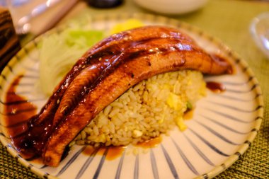 Pirinçli ızgara yılan balığı. Geleneksel Japon mutfağı. Japon yemek ve kültürleri.