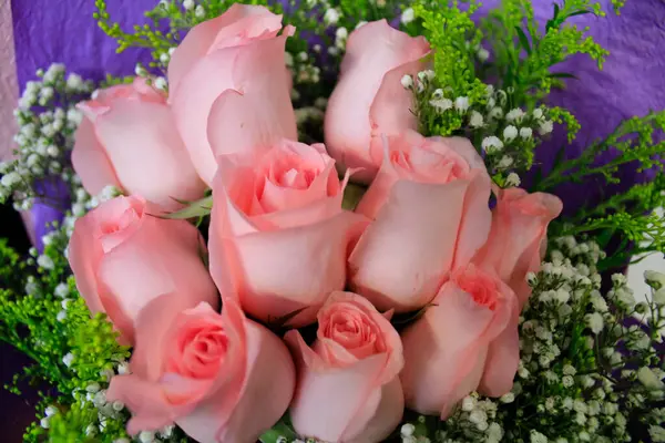 Close-up of a bunch of roses. Rose bouquet for gift, celebration, anniversary. Rose background. Flower and plant.
