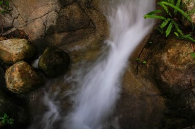 Hong Kong 'un kırsal kesimindeki küçük şelalenin yavaş panjurlu görüntüsü. Şelale ormandaki taşların üzerine usulca dökülüyor. Doğa sahnesi. 