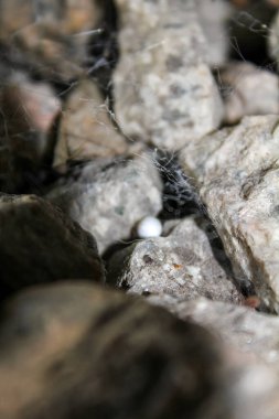 Eski demiryolundaki kayaların aşırı yakın görüntüsü. Demiryolundaki kayaların farklı şekilleri. Kayalarla dolu. Kaya / taş arkaplan.