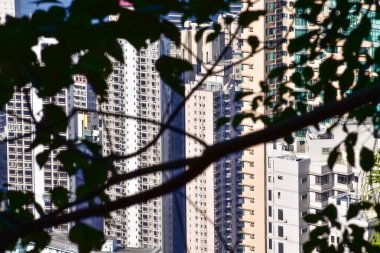 Hong Kong Tepesi 'nden Hong Kong şehir manzarası. Hong Kong 'un güzel ve çarpıcı manzarası. Hong Kong Şehri ve ufuk çizgisi. 