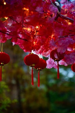 Close-up of the Chinese traditional red lantern decor with artificial peach blossom flower in outdoors. Festive decoration and celebration. Chinese New Year decoration. For background use. clipart