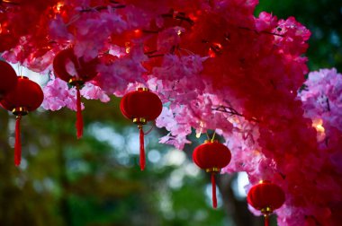 Close-up of the Chinese traditional red lantern decor with artificial peach blossom flower in outdoors. Festive decoration and celebration. Chinese New Year decoration. For background use. clipart