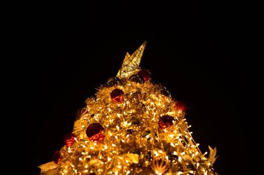 Renkli süslemelerle Noel ağaçlarının yakın çekimi. Şenlik dekorasyonu. Süs eşyalarıyla dolu. Kış mevsimi, kış festivali. Noel kutlaması, Xmas kutlaması. Arkaplan kullanımı için.