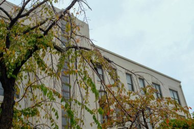 Japonya Darphane Genel Müdürlüğü, Osaka, Japonya sonbahar manzarası. Seyahat ve doğa kavramı.