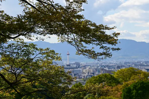 Kyoto şehrinin manzarası mavi gökyüzü ve Japonya 'nın Kyoto kentindeki kiyomizu-dera tapınağındaki ağaçlarla yükseliyor. Japonya 'nın Kansai bölgesinde önemli bir turistik ilgi merkezi. Seyahat konsepti. Japon şehir manzarası.