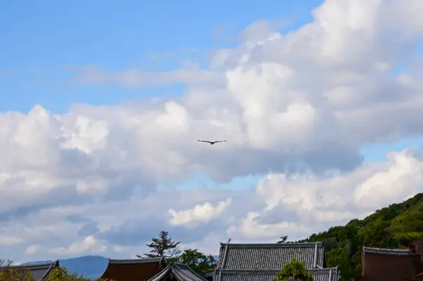 Japonya 'nın Kyoto kentindeki kiyomizu-dera tapınağının üzerinde uçan bir kuş. Japonya 'nın Kansai bölgesinde önemli bir turistik ilgi merkezi. Doğa ve seyahat kavramı.