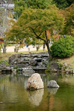 Japonya 'nın Kyoto kentinde sonbaharda Maruyama Parkı sahnesi. Kyoto 'da güzel manzaralı bir halk parkı. Renkli ağaçlar ve göletlerle büyüleyici doğa sahnesi. Seyahat ve doğa kavramı. Japonya doğa görünümü.