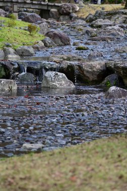 Japonya 'nın Kyoto kentinde sonbaharda Maruyama Parkı sahnesi. Kyoto 'da güzel manzaralı bir halk parkı. Renkli ağaçlar ve göletlerle büyüleyici doğa sahnesi. Seyahat ve doğa kavramı. Japonya doğa görünümü.