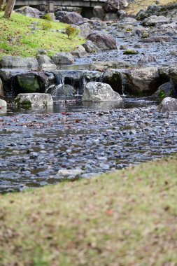 The scene of Maruyama Park in autumn in Kyoto, Japan. The public park in Kyoto with beautiful scene. Stunning nature scene with colorful trees and ponds. Travel and nature concept. Japan nature view. clipart