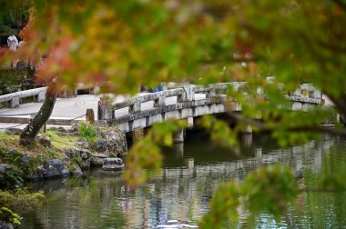 Japonya 'nın Kyoto kentinde sonbaharda Maruyama Parkı sahnesi. Kyoto 'da güzel manzaralı bir halk parkı. Renkli ağaçlar ve göletlerle büyüleyici doğa sahnesi. Seyahat ve doğa kavramı. Japonya doğa görünümü.