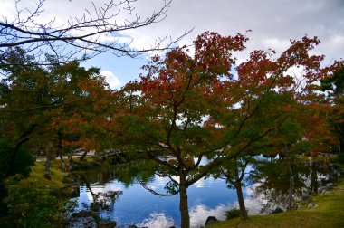 Japonya 'nın Kyoto kentinde sonbaharda Maruyama Parkı sahnesi. Kyoto 'da güzel manzaralı bir halk parkı. Renkli ağaçlar ve göletlerle büyüleyici doğa sahnesi. Seyahat ve doğa kavramı. Japonya doğa görünümü.