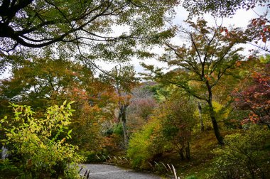 Sonbaharda Tenryuji Tapınağı 'nın bahçe sahnesi. Japonya 'daki ünlü tapınak. Tenryuji Tapınağı Kyoto 'da geleneksel bir Japon tapınağıdır. Sonbahar ve bahçe manzarası. Doğa ve Seyahat kavramı.