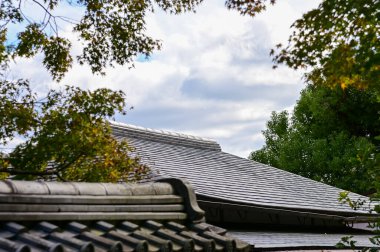 Japonya, Kyoto 'daki Tenryuji Tapınağı' nın çatısında ağaçlarla çevrili. Çatı kiremit deseni. Japonya 'nın Kansai bölgesinde önemli bir turistik ilgi merkezi. Japonya 'nın ünlü tarihi mimarisi. Bina yapısı.