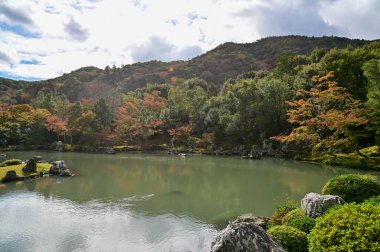 Sonbaharda Tenryuji Tapınağı 'nın bahçe sahnesi. Japonya 'daki ünlü tapınak. Tenryuji Tapınağı Kyoto 'da geleneksel bir Japon tapınağıdır. Sonbahar ve bahçe manzarası. Doğa ve Seyahat kavramı.