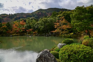 Sonbaharda Tenryuji Tapınağı 'nın bahçe sahnesi. Japonya 'daki ünlü tapınak. Tenryuji Tapınağı Kyoto 'da geleneksel bir Japon tapınağıdır. Sonbahar ve bahçe manzarası. Doğa ve Seyahat kavramı.