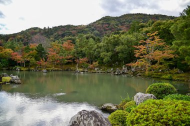 The garden scene of Tenryuji Temple at autumn. Famous temple in Japan. Tenryuji Temple is a Japanese traditional temples in Kyoto. Autumn and garden view. Nature and Travel concept. clipart