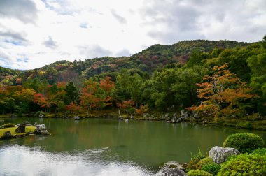Sonbaharda Tenryuji Tapınağı 'nın bahçe sahnesi. Japonya 'daki ünlü tapınak. Tenryuji Tapınağı Kyoto 'da geleneksel bir Japon tapınağıdır. Sonbahar ve bahçe manzarası. Doğa ve Seyahat kavramı.