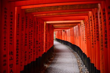 Japonya 'nın Kyoto kentindeki kırmızı kapılar 