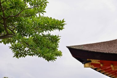 Japonya 'nın Kyoto kentindeki Fushimi Inari Taisha' nın (Fushimi Inari Tapınağı) doğa görüşü. Fushimi Inari Tapınağı popüler bir turizm merkezidir. Kyoto 'nun çarpıcı doğa manzarası. Ağaçlar, gökyüzü ve mimari.