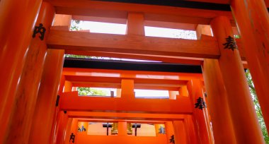 Torii kapılarının alçak açılı görüntüsü, Fushimi inari-taisha 'ya giden ana yol olan Fushimi Inari Tapınağı Japonya' nın Kyoto kentinde popüler bir turizm merkezidir. Kırmızı kapılar 