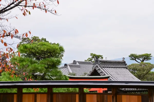 Japonya 'nın Kyoto kentindeki Fushimi Inari Taisha' nın (Fushimi Inari Tapınağı) doğa görüşü. Fushimi Inari Tapınağı popüler bir turizm merkezidir. Kyoto 'nun çarpıcı doğa manzarası. Ağaçlar, gökyüzü ve mimari.