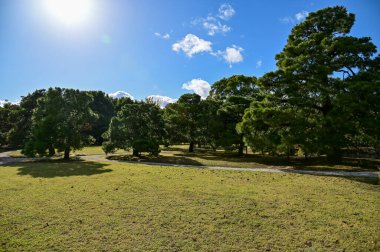 Japonya, Kyoto 'daki Nijo Şatosu' nun Japon garaj manzarası. Dünya Mirası Bölgesi, Japonya 'nın Kyoto şehrinde eski bir Japon mimarisi. Güneşli bir günde Nijo Kalesi 'nin güzelliğinin arkaplan manzarası.