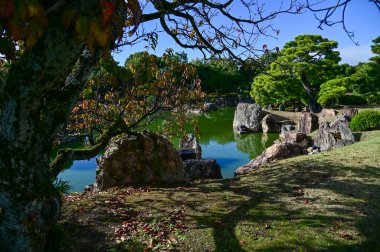 Japonya, Kyoto 'daki Nijo Şatosu' nun Japon garaj manzarası. Dünya Mirası Bölgesi, Japonya 'nın Kyoto şehrinde eski bir Japon mimarisi. Güneşli bir günde Nijo Kalesi 'nin güzelliğinin arkaplan manzarası.