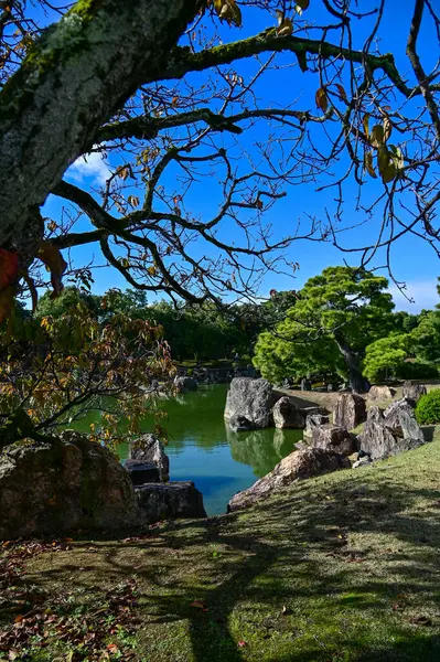 Japonya, Kyoto 'daki Nijo Şatosu' nun Japon garaj manzarası. Dünya Mirası Bölgesi, Japonya 'nın Kyoto şehrinde eski bir Japon mimarisi. Güneşli bir günde Nijo Kalesi 'nin güzelliğinin arkaplan manzarası.